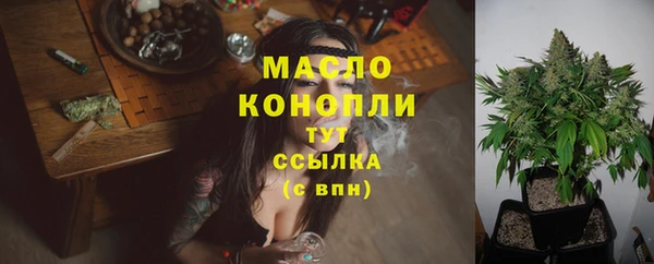 стаф Магас