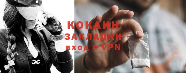 стаф Алексин