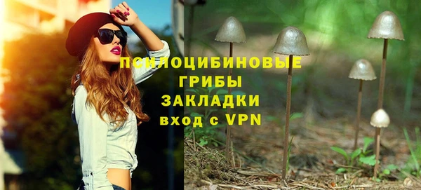 стаф Алексин