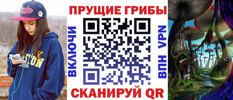 площадка состав Шимановск Псилоцибиновые грибы Cubensis